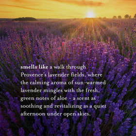 A LA MAISON Lavender Aloe Liquid Hand Soap label close-up