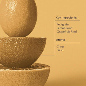 Aesop Citrus Melange Body Cleanser Refill bottle side view