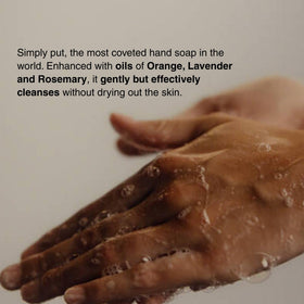 Aesop hand wash bottle with label details