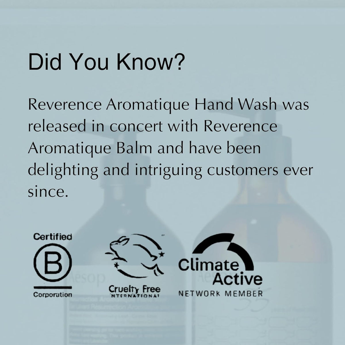 Aesop Reverence Aromatique Exfoliating Hand Wash 500mL lifestyle scene