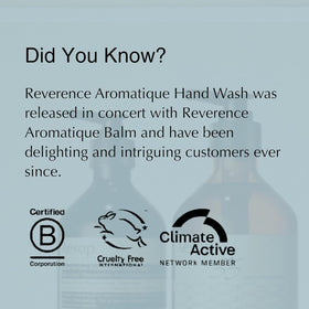 Aesop Reverence Aromatique Exfoliating Hand Wash 500mL lifestyle scene
