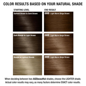 AGE beautiful hair dye application tools