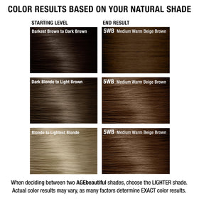 AGE beautiful hair dye packaging with instructions