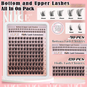ALICE CD-Curly Individual Lashes close-up
