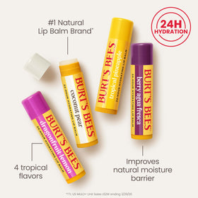 All four Burt's Bees Lip Balm tubes arranged together