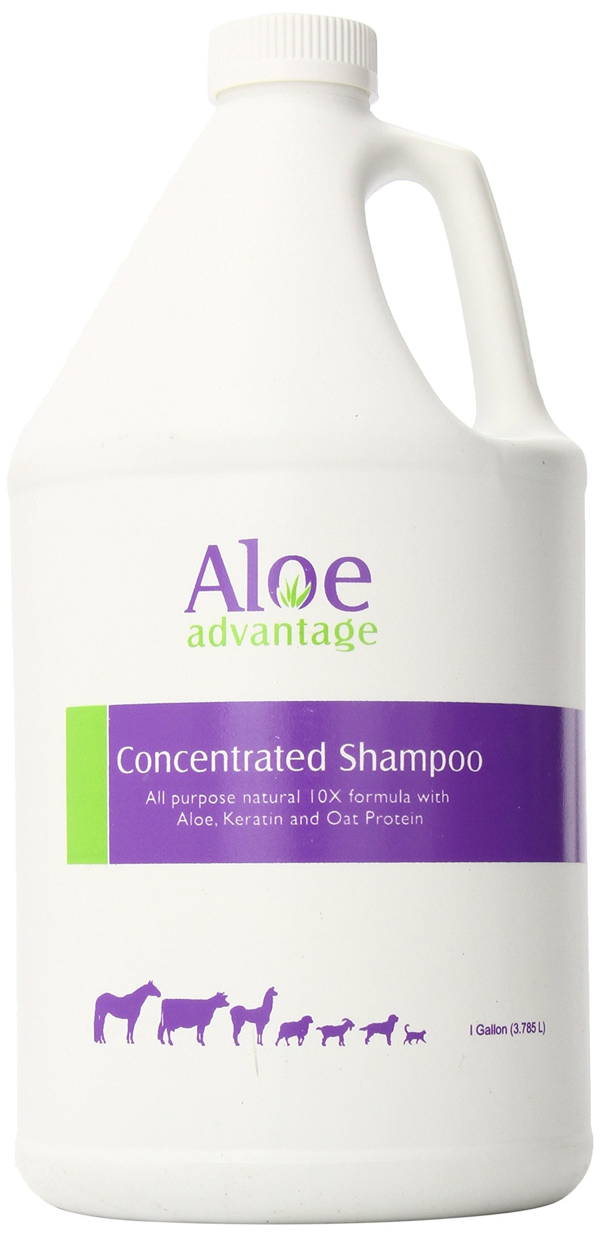 Aloe Advantage Aloe Concentrated Shampoo 1 Gallon front view