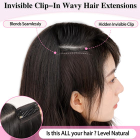 ALXNAN Long Wavy Clip in Hair Extensions 20" different widths