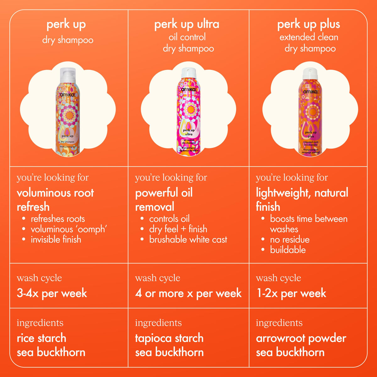 Amika Perk Up Plus Dry Shampoo 5.3oz ingredients close-up