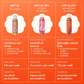 Amika Perk Up Plus Dry Shampoo 5.3oz ingredients close-up