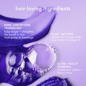 Amika shampoo packaging details