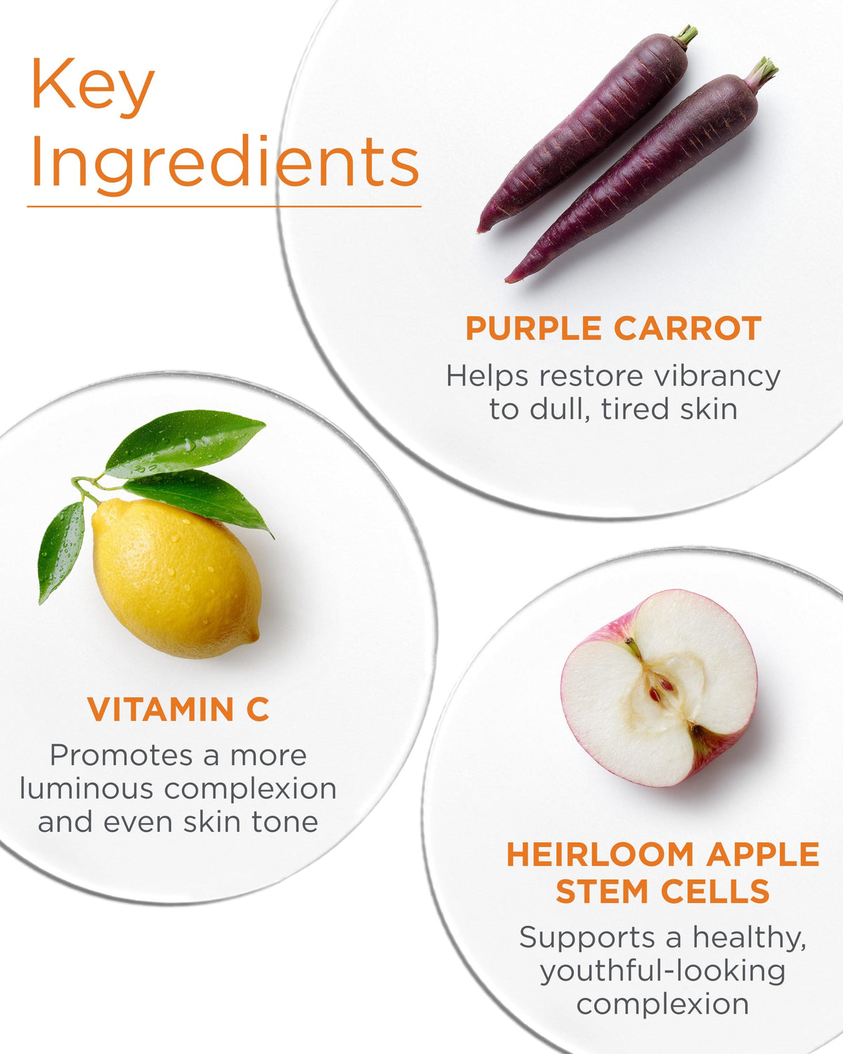 Andalou Naturals night cream ingredients list