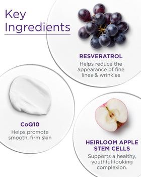 Andalou Naturals Resveratrol Q10 Night Repair Cream with aloe vera
