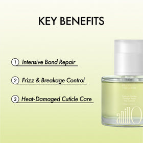 ANILLO Protein Hair Serum with patchouli leaf background