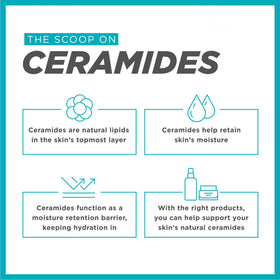 Anti-Wrinkle Hydrating Serum ingredients list