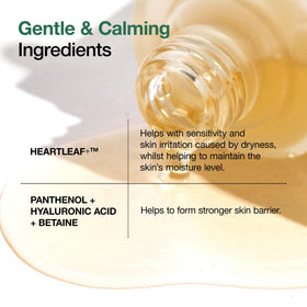 ANUA Heartleaf 80 Soothing Ampoule application process