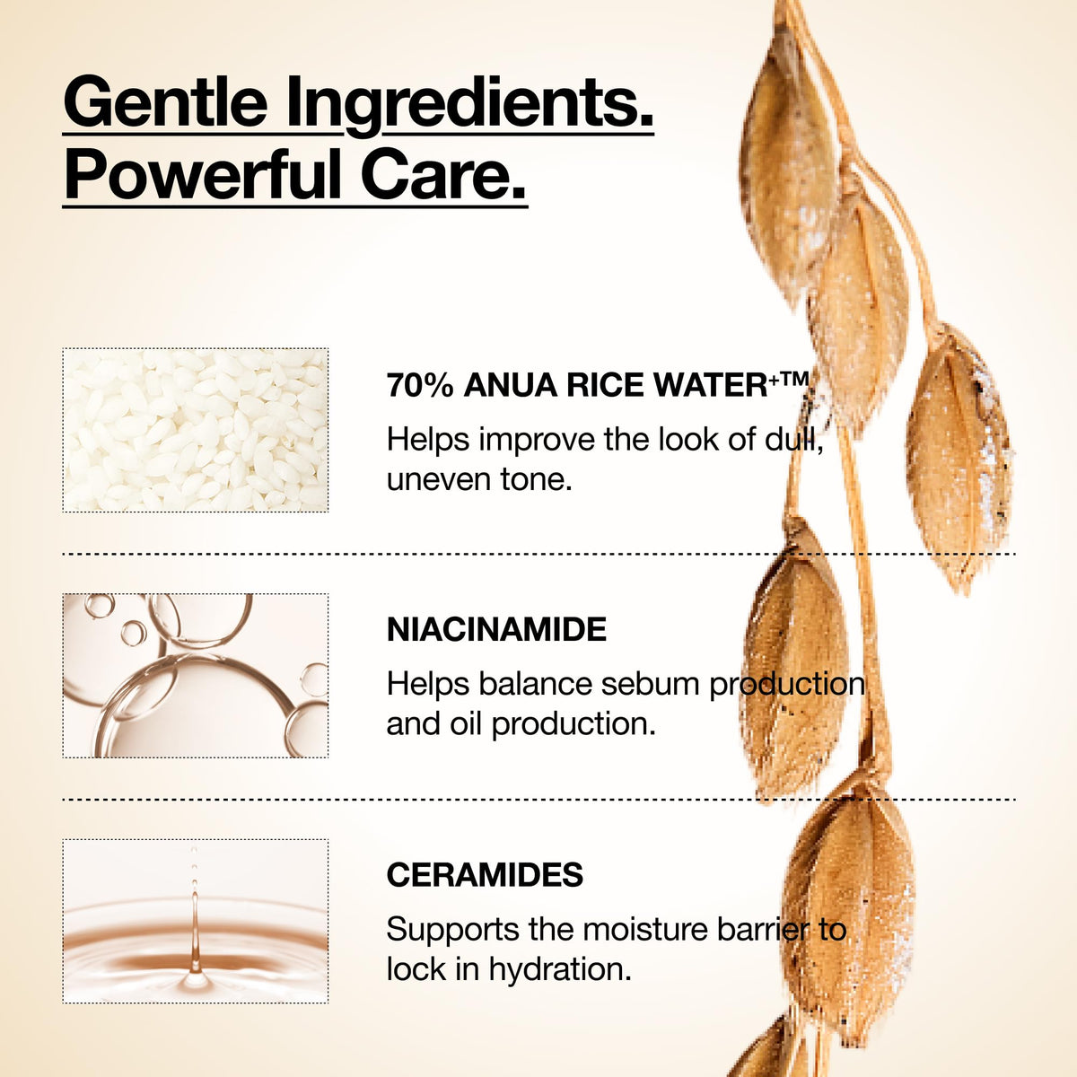 ANUA Rice 70 Glow Milky Toner in a bathroom setting