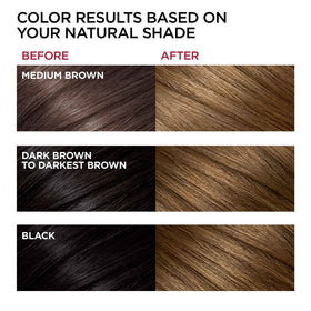 Application instructions for L'Oreal Paris hair dye