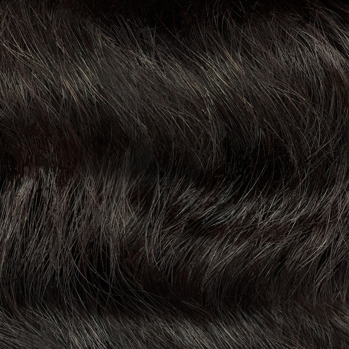 Application of Clairol Professional hair color on hair