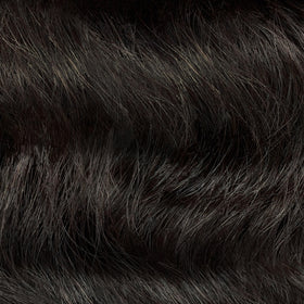 Application of Clairol Professional hair color on hair