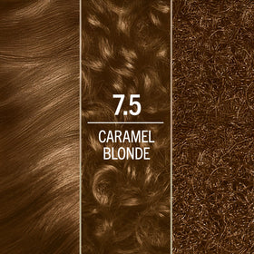 Application of Schwarzkopf hair dye on long hair