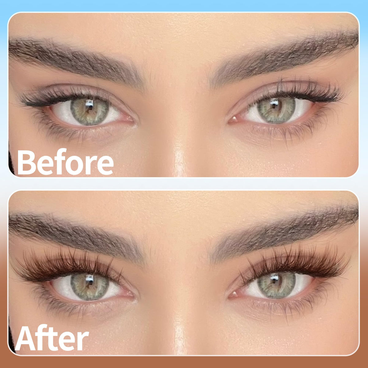 Application of TNFVLONEINS brown lash clusters on model