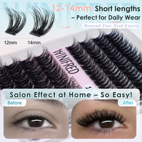 Application of Winifred Fluffy Lash Clusters on model