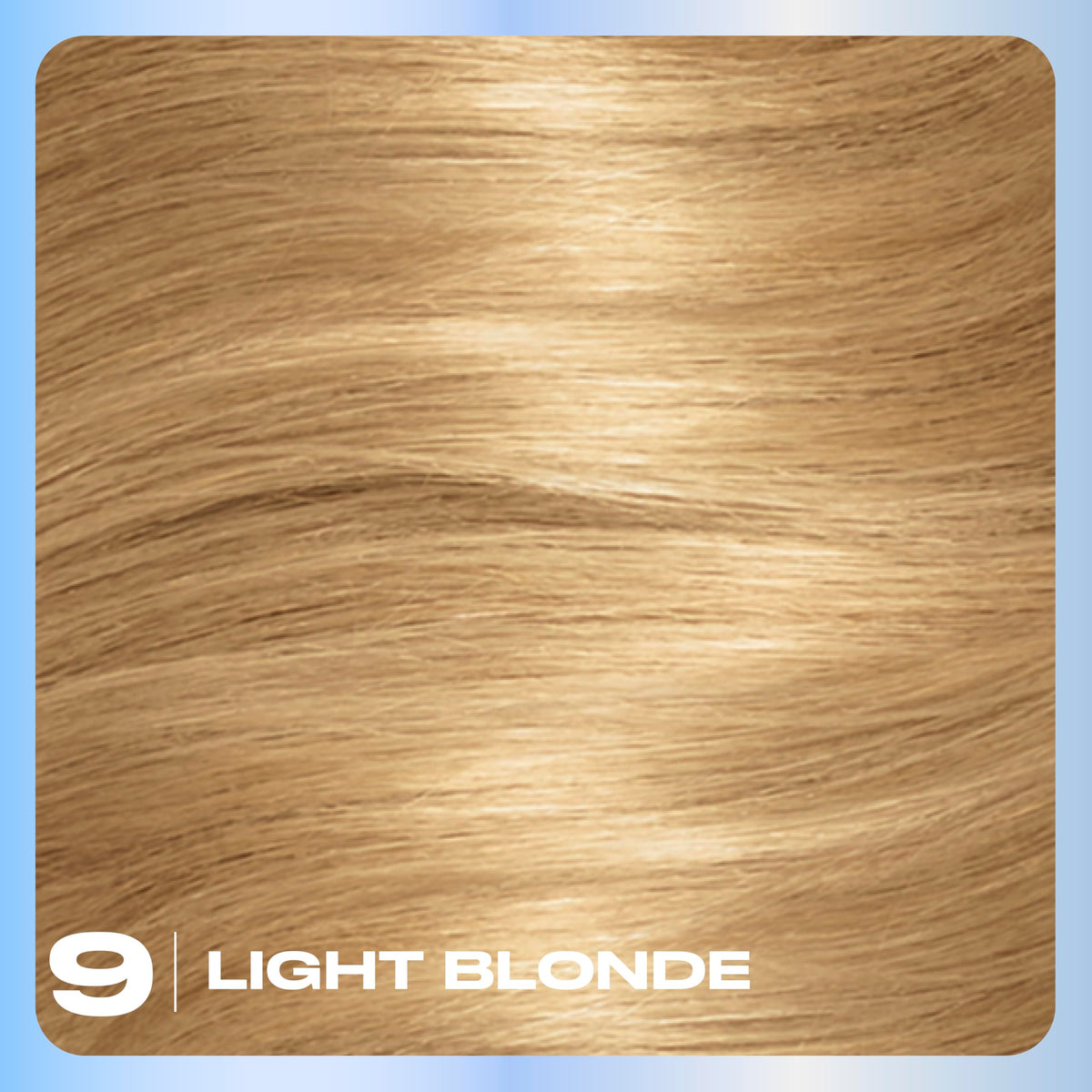 Application process of Clairol Nice'n Easy hair dye