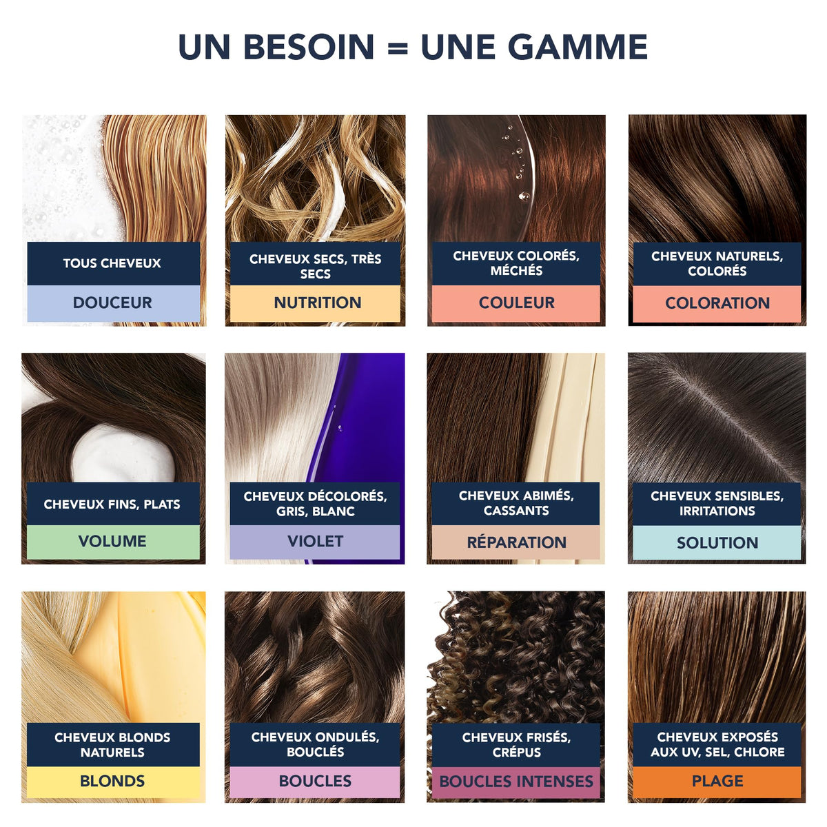 Application process of PHYTO Phytocolor hair dye