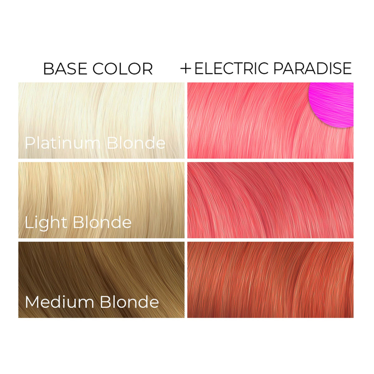 ARCTIC FOX Electric Paradise hair dye packaging display