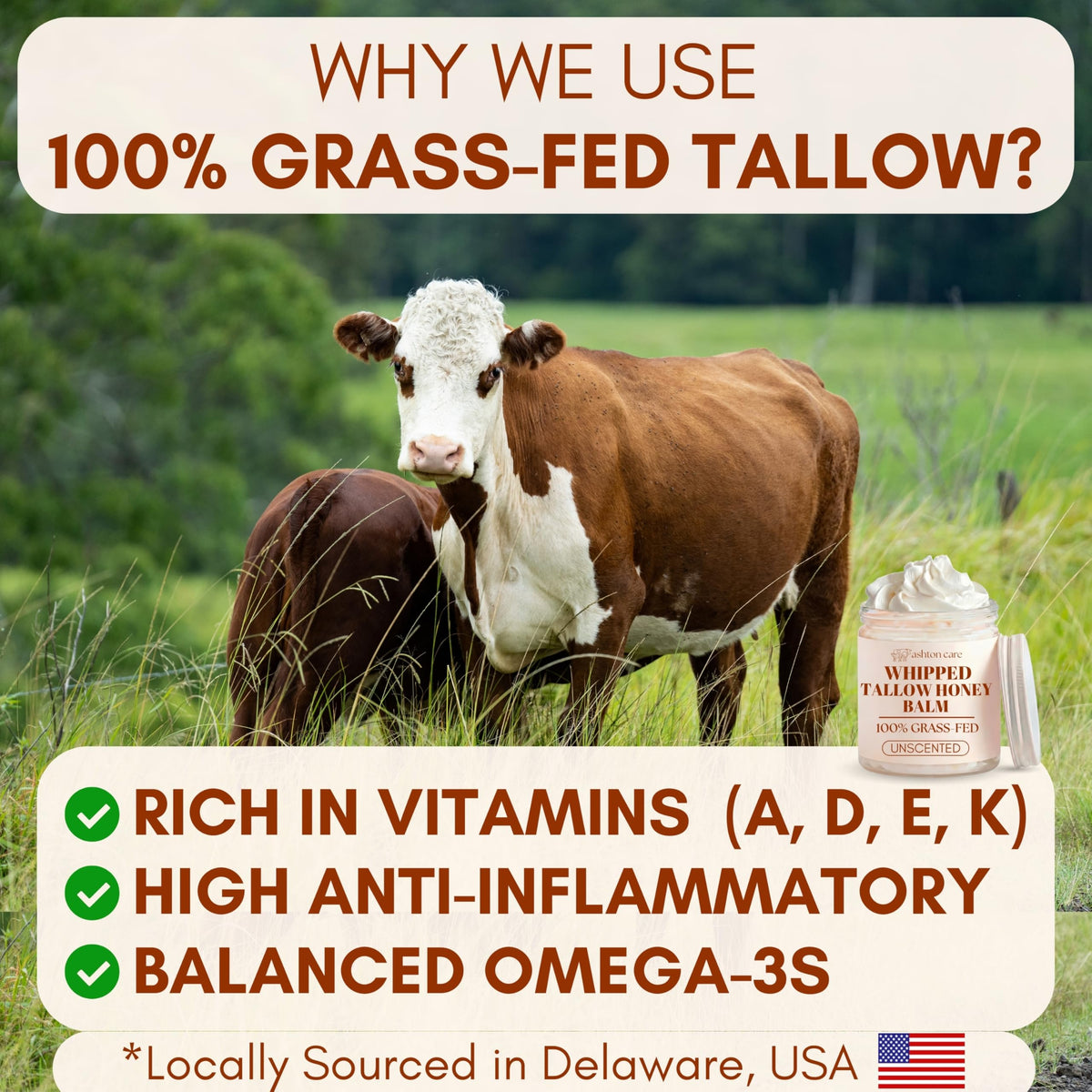 ASHTON CARE Whipped Beef Tallow and Honey Balm with jojoba and calendula