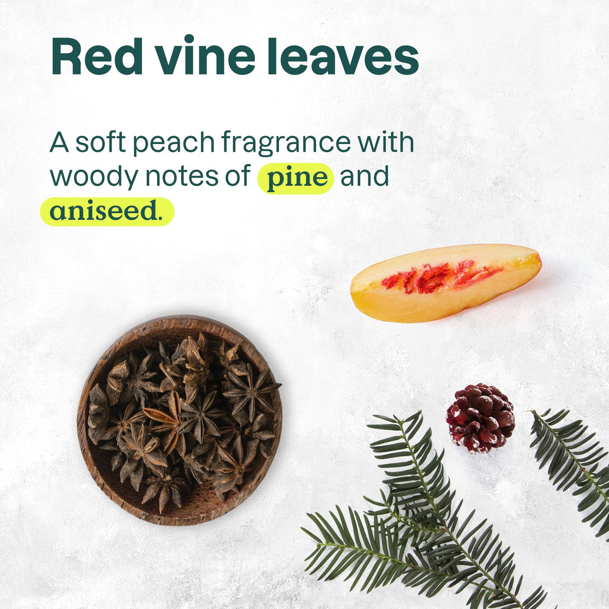 ATTITUDE Body Wash Red Vine Leaves back view with ingredients
