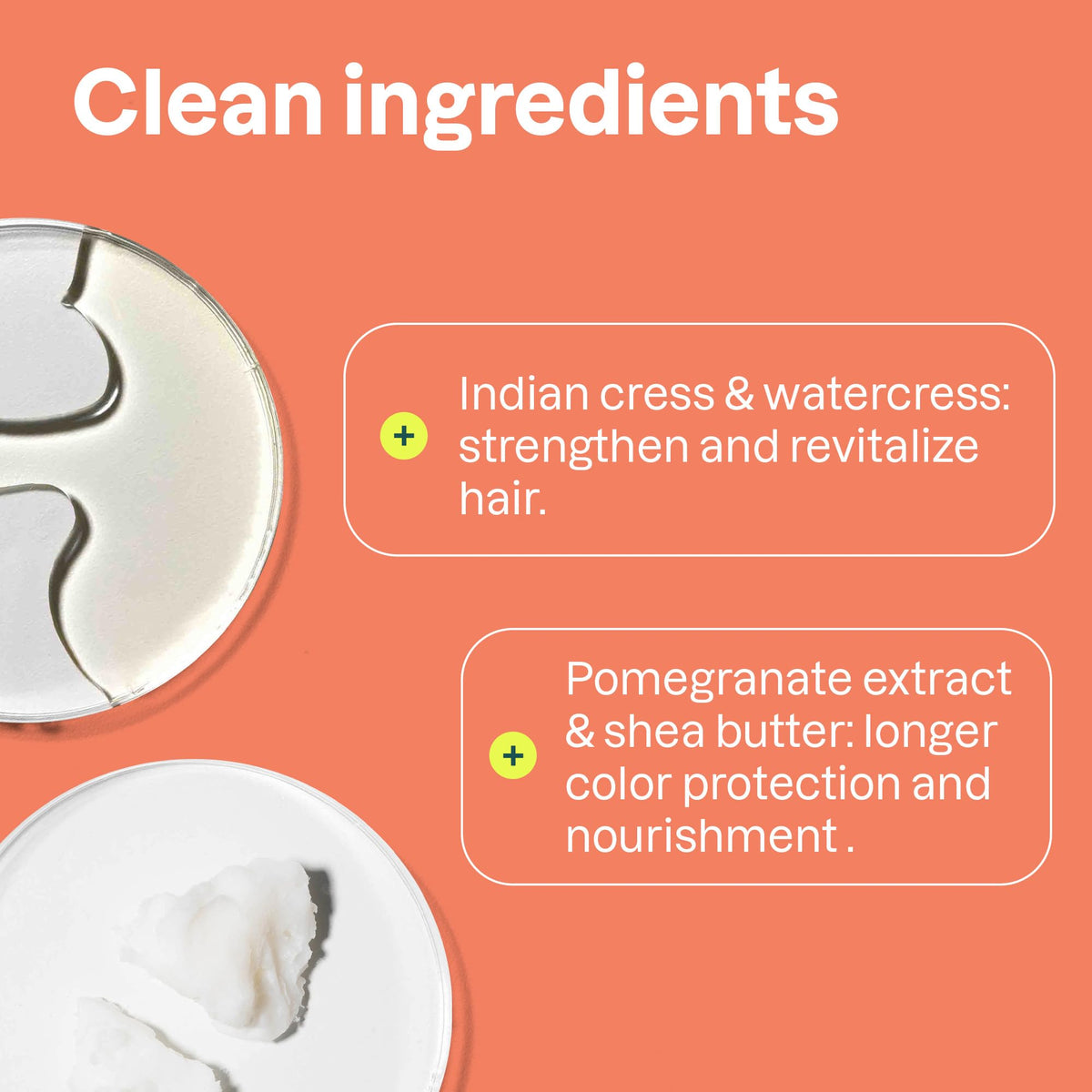 ATTITUDE Colorlast Hair Conditioner with avocado and pomegranate ingredients