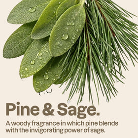 ATTITUDE Liquid Hand Soap Pine & Sage lather demonstration