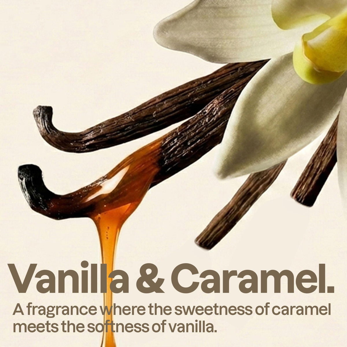 ATTITUDE Liquid Hand Soap Vanilla Caramel pump close-up