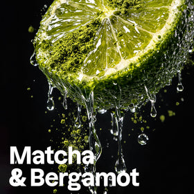 ATTITUDE Men's 2-in-1 Shampoo and Conditioner ingredients list