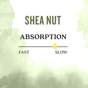 Aura Cacia Organic Shea Nut Oil on a wooden table