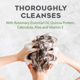 Avalon Organics Rosemary Shampoo with essential oils and botanicals