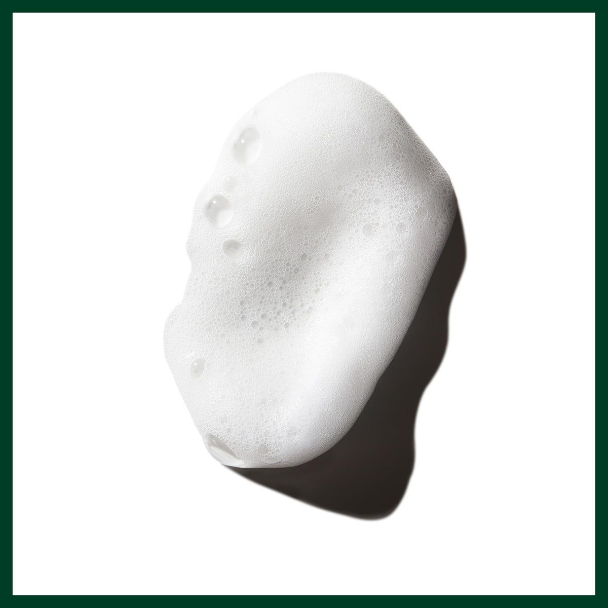 Aveda Phomollient Styling Foam packaging details
