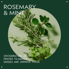 Aveda Rosemary Mint Purifying Shampoo side view showing packaging