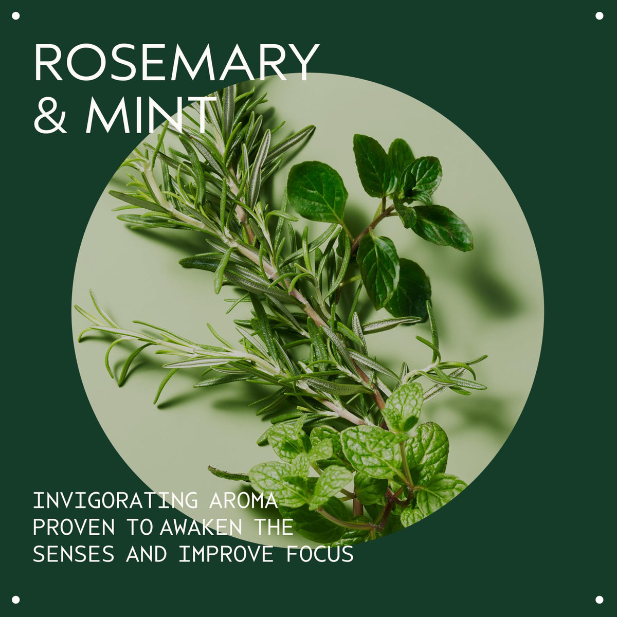 Aveda Rosemary Mint Weightless Conditioner side view showing packaging