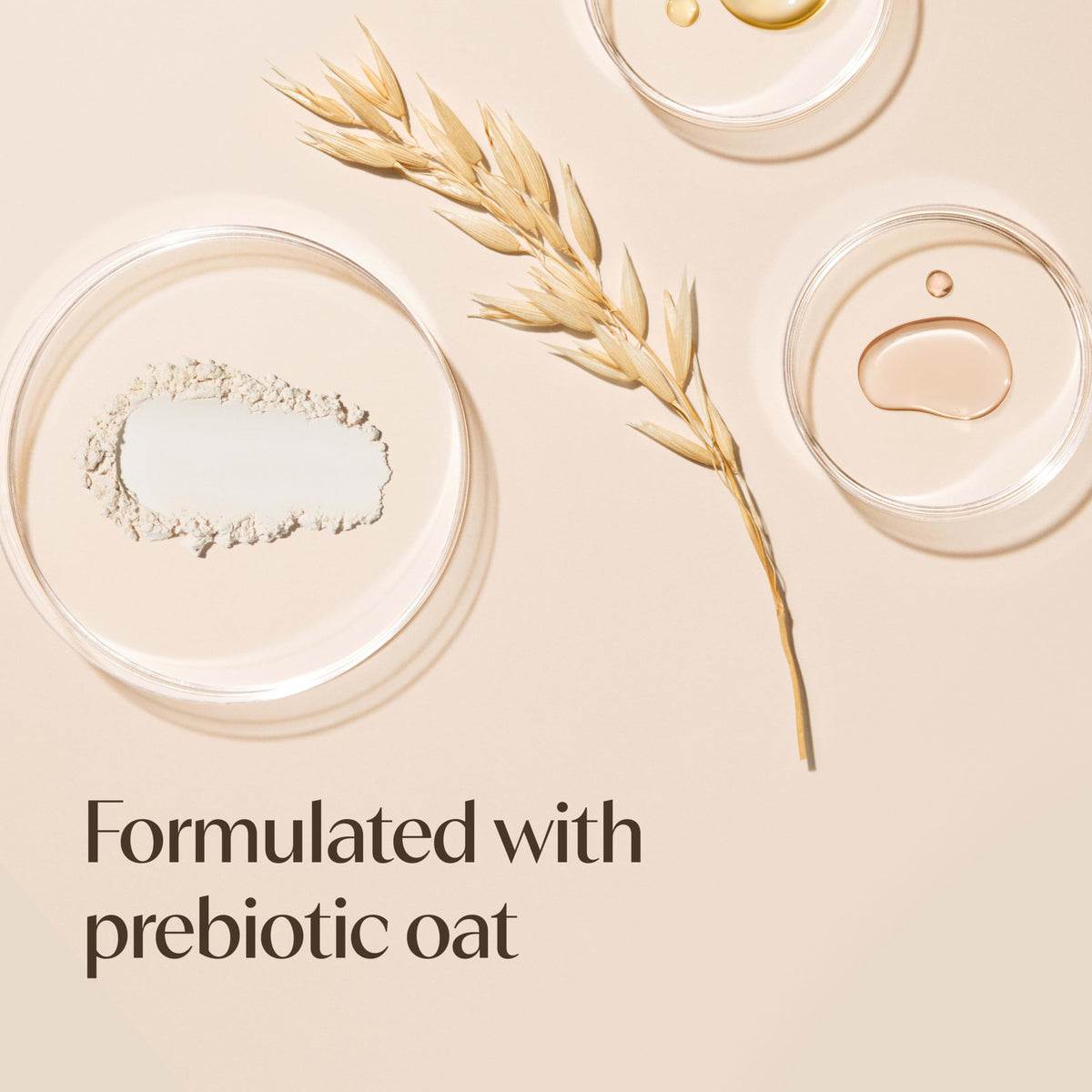 Aveeno Daily Moisturizing Body Wash with prebiotic oat ingredients