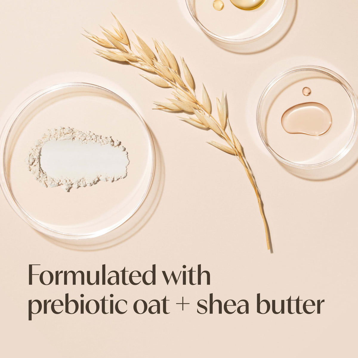 Aveeno Daily Moisturizing Cream with shea butter and oat ingredients