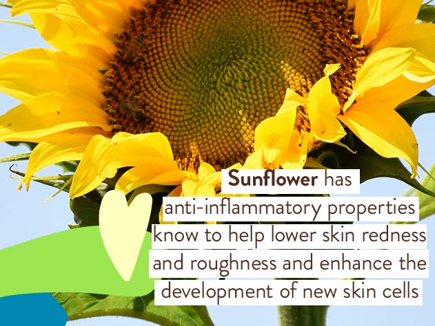 Babo Botanicals Sunscreen back view showing ingredients