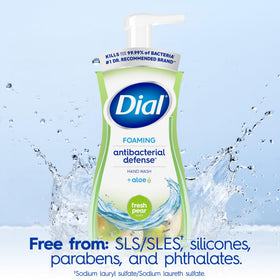 Back view of Dial Antibacterial Defense Foaming Hand Soap