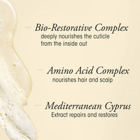 Back view of ORIBE Gold Lust Repair & Restore Shampoo