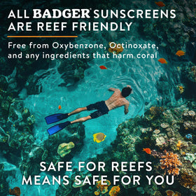 Badger Mineral Sunscreen Cream SPF 30 with beach background
