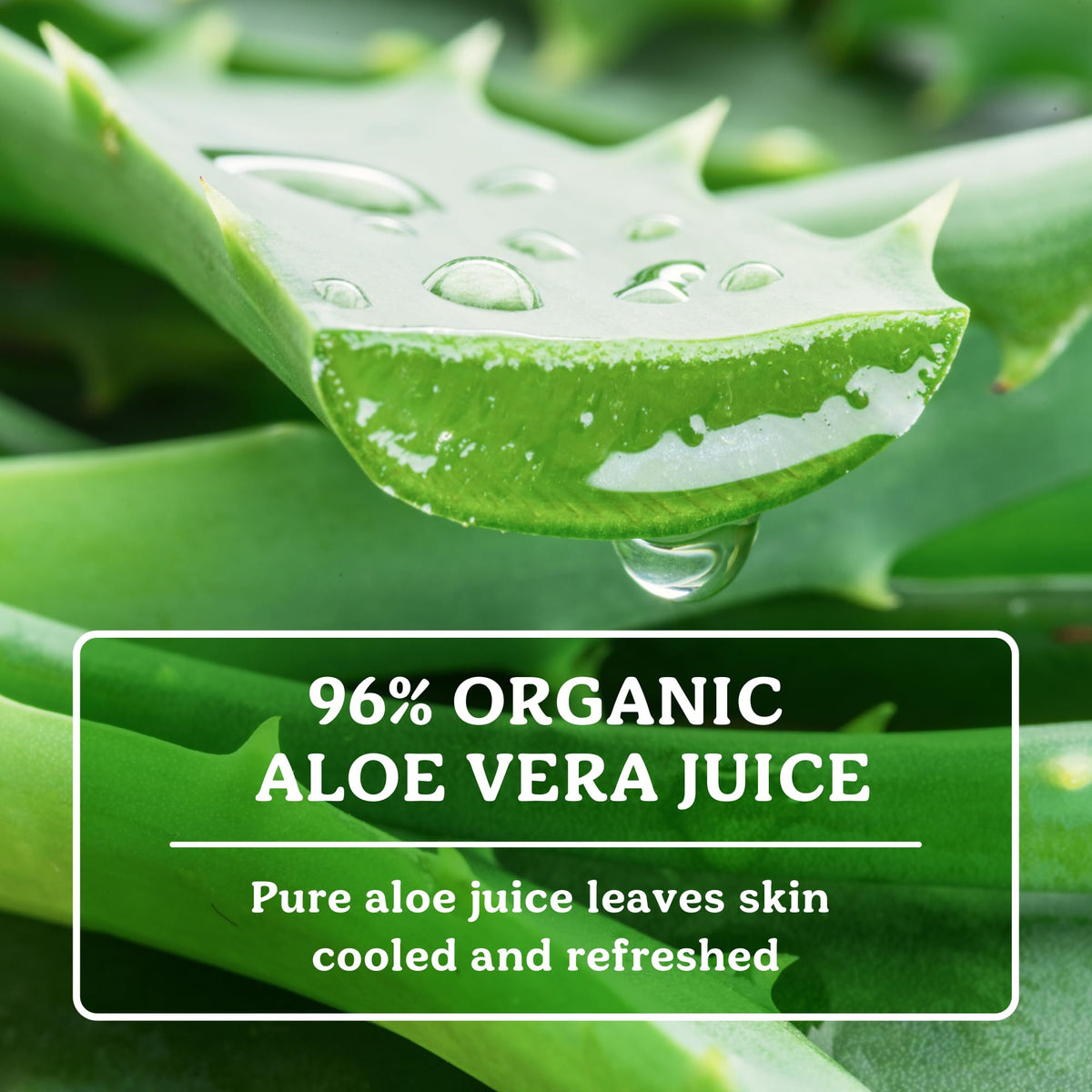 Badger Organic Aloe Vera Gel packaging side view
