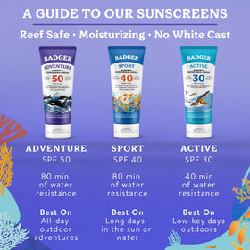 Badger sunscreen with sun and beach background