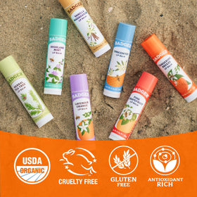 Badger Tangerine Breeze Organic Lip Balm with natural ingredients