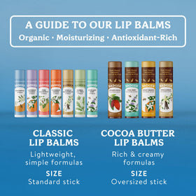 Badger Unscented Organic Lip Balm in hand